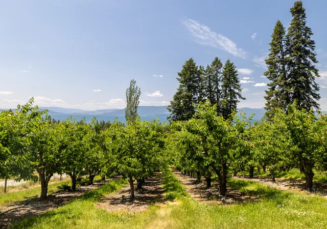 2nd image of 21770 Mt Hwy 35, Bigfork, MT 59911 | MLS# 30038157