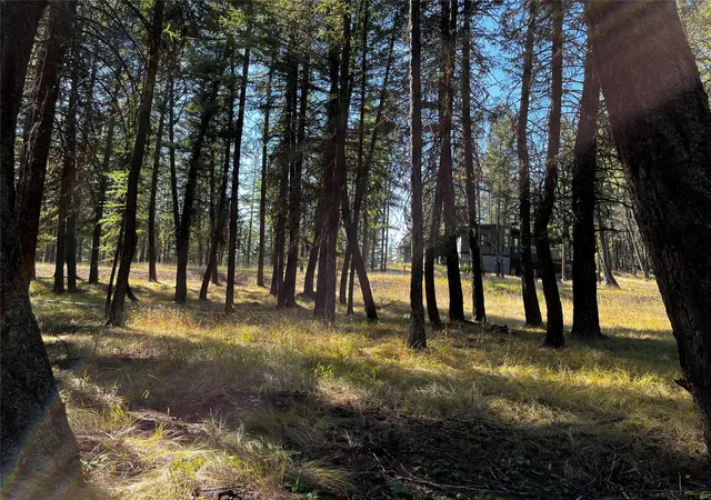 Homes for sale in Eureka, MT | Nhn Crystal Lakes Dr, Eureka, MT 59917 | MLS# 30038402