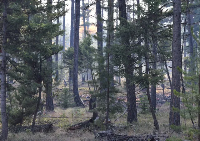 5th image of Nhn E Hwy 2, Marion, MT 59925 | MLS# 30038736