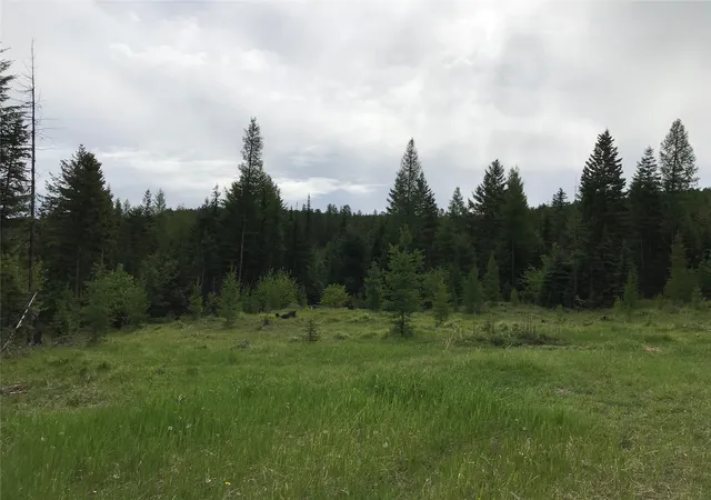 Homes for sale in Trego, MT | 2152 Butcher Creek Rd, Trego, MT 59934 | MLS# 30039364
