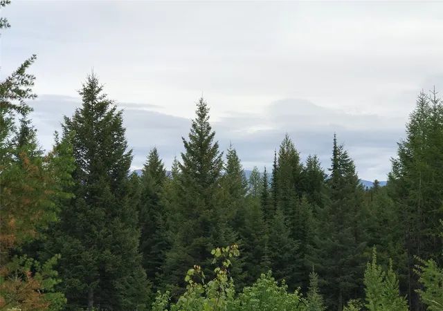 Homes for sale in Trego, MT | 2152 Butcher Creek Rd, Trego, MT 59934 | MLS# 30039364
