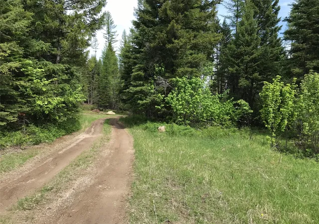 Homes for sale in Trego, MT | 2152 Butcher Creek Rd, Trego, MT 59934 | MLS# 30039364