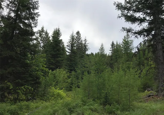 Homes for sale in Trego, MT | 2152 Butcher Creek Rd, Trego, MT 59934 | MLS# 30039364
