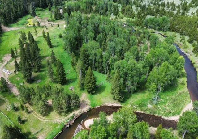 Photo 4 of Land for sale at 8229 Dead End Trl, Lincoln, MT 59639 | MLS# 30039654 | Listing updated on 2026-07-29