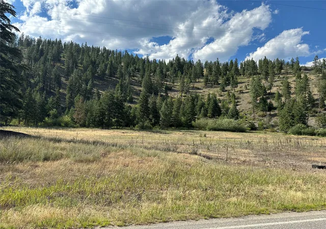 Homes for sale in Superior, MT | Nhn Diamond Match Rd, Superior, MT 59872 | MLS# 30041602