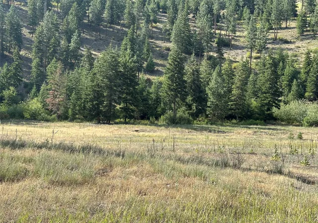 Homes for sale in Superior, MT | Nhn Diamond Match Rd, Superior, MT 59872 | MLS# 30041602