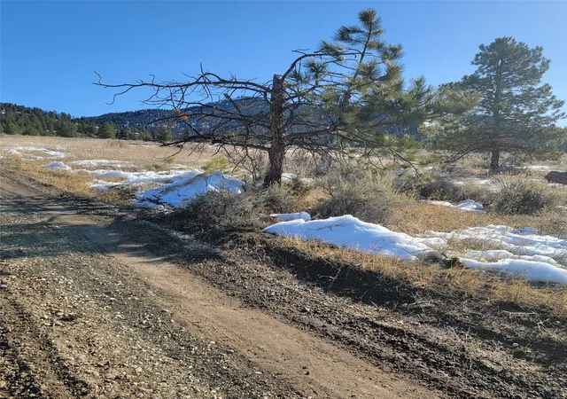 Homes for sale in Corvallis, MT | Lot A Sapphire Ranch Trl, Corvallis, MT 59828 | MLS# 30044119