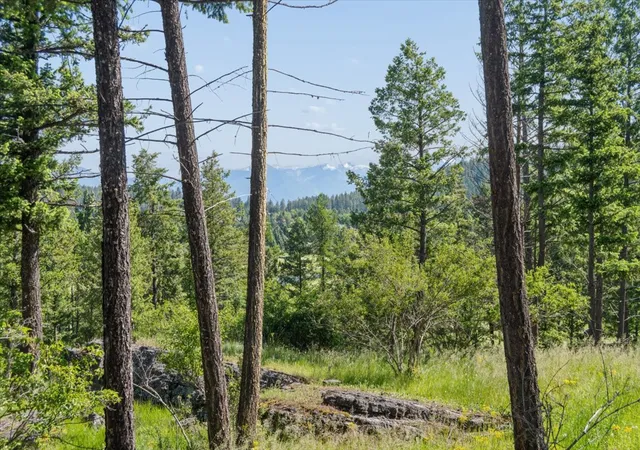 2nd image of 175 Aerie Pl, Bigfork, MT 59911 | MLS# 30044045