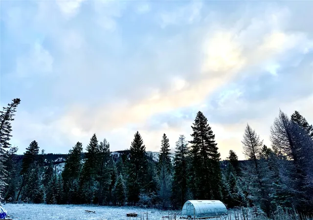 Homes for sale in Trout Creek, MT | 74 View Point Ln, Trout Creek, MT 59874 | MLS# 30044225