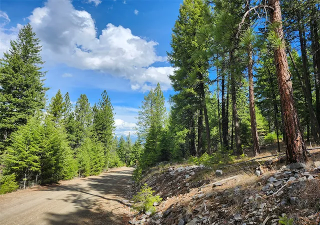 Homes for sale in Plains, MT | 107 Mountain Rd, Plains, MT 59859 | MLS# 30044279