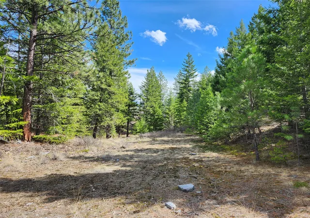 Homes for sale in Plains, MT | 107 Mountain Rd, Plains, MT 59859 | MLS# 30044279