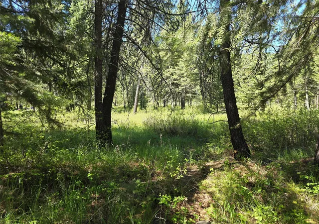 Homes for sale in Saint Regis, MT | Nh Fairview Dr, Saint Regis, MT 59866 | MLS# 30044351
