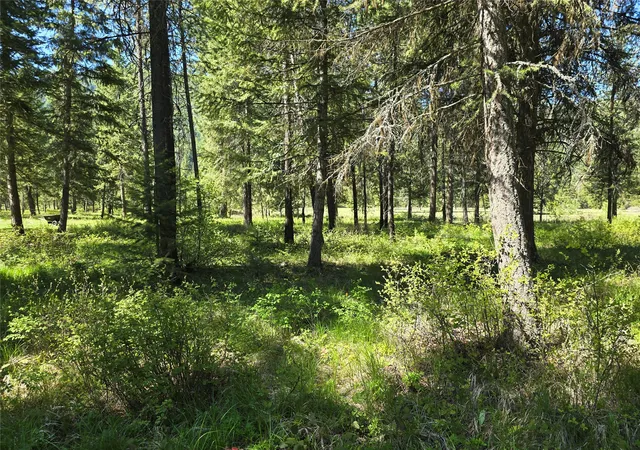 Homes for sale in Saint Regis, MT | Nh Fairview Dr, Saint Regis, MT 59866 | MLS# 30044351