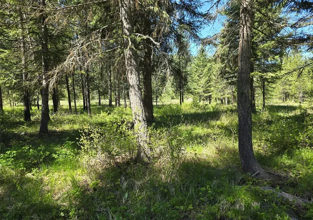 Homes for sale in Saint Regis, MT | Nh Fairview Dr, Saint Regis, MT 59866 | MLS# 30044351