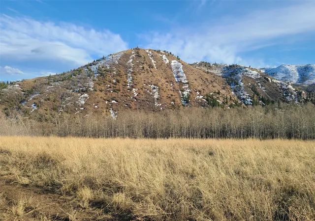 4th image of 101 Bear Paw Trl, Anaconda, MT 59711 | MLS# 30046023