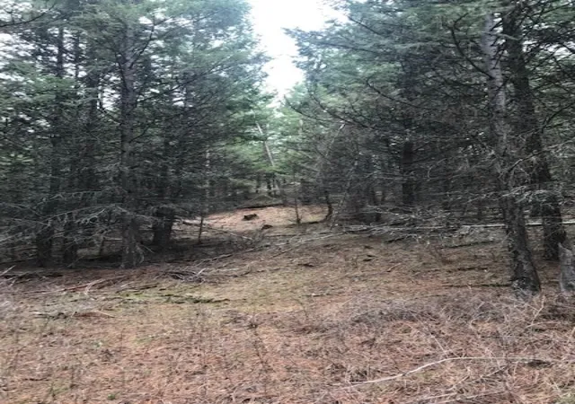 Photo 18 of Land for sale at Nkn West Fork Compass Creek, Plains, MT 59859 | MLS# 30046809 | Listing updated on 2026-08-03