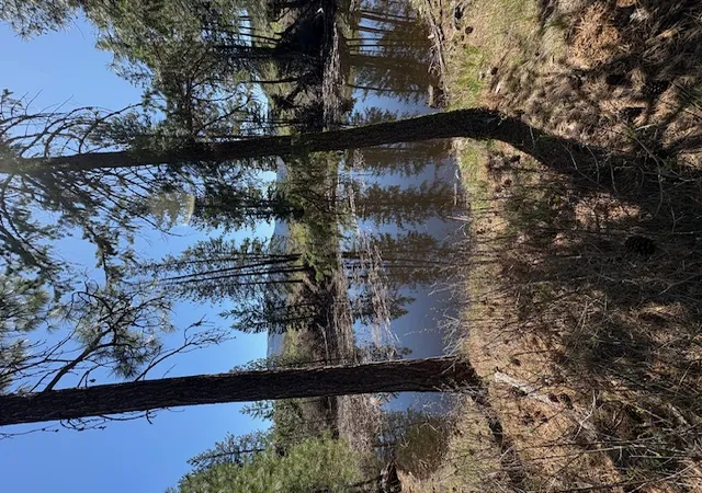 Photo 1 of Land for sale at Nkn West Fork Compass Creek, Plains, MT 59859 | MLS# 30046809 | Listing updated on 2026-08-03