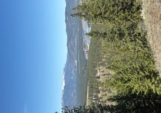 Photo 2 of Land for sale at Nkn West Fork Compass Creek, Plains, MT 59859 | MLS# 30046809 | Listing updated on 2026-08-03
