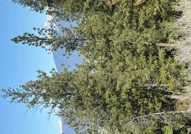 Photo 4 of Land for sale at Nkn West Fork Compass Creek, Plains, MT 59859 | MLS# 30046809 | Listing updated on 2026-08-03