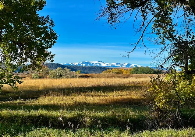 5th image of Tbd Centennial Rd, Columbus, MT 59019 | MLS# 30046945