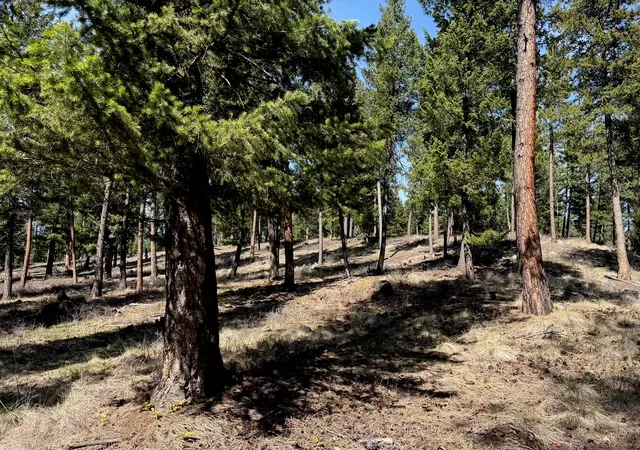 39th image of 380 Viano Ln, Kalispell, MT 59901 | MLS# 30047131