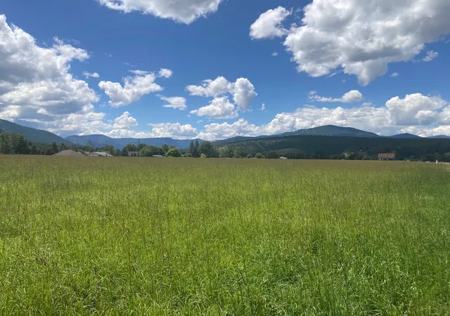 Homes for sale in Huson, MT | Lot 3 Huson Rd, Huson, MT 59846 | MLS# 30047280