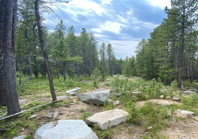 Homes for sale in Philipsburg, MT | Nhn Michael Davitt Granite Access Rd, Philipsburg, MT 59858 | MLS# 30047355