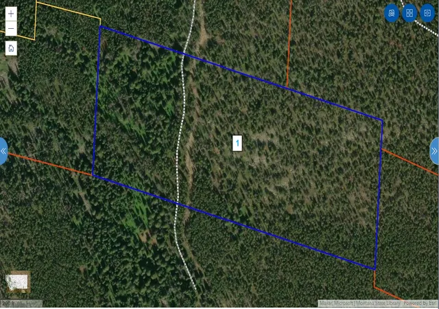 Homes for sale in Philipsburg, MT | Nhn Michael Davitt Granite Access Rd, Philipsburg, MT 59858 | MLS# 30047355