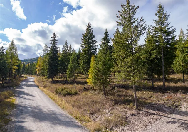 45th image of Lot 6a Wild Bill Rd, Kila, MT 59920 | MLS# 30048091