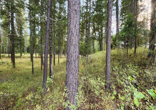Homes for sale in Libby, MT | 3100 Kootenai River Rd, Libby, MT 59923 | MLS# 30049372
