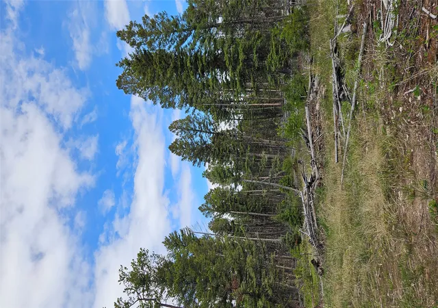 Photo 1 of Land for sale at 000 Bear Gulch Rd, Lincoln, MT 59639 | MLS# 30050690 | Listing updated on 2026-09-01