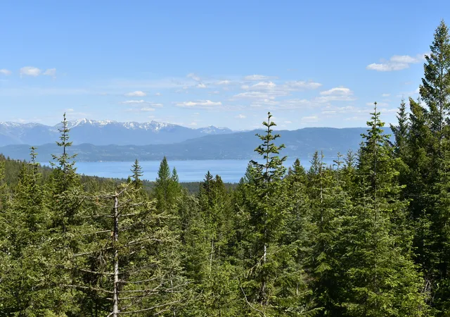 Land for sale at 1520 Bierney Crk Rd, Lakeside, MT 59922 | MLS# 30050404