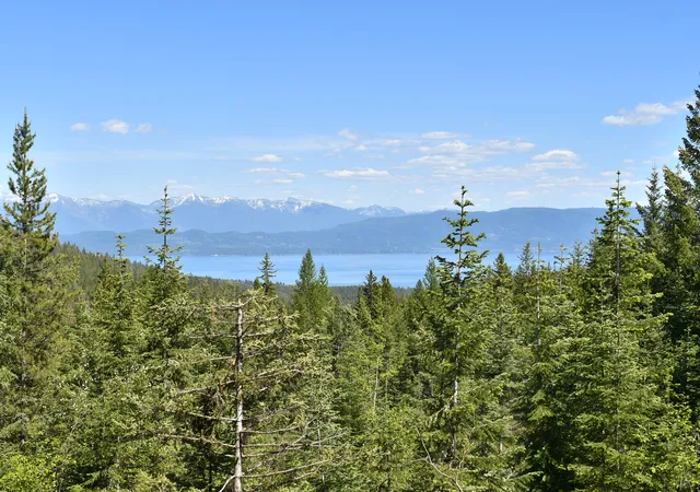 Photo 2 of Land for sale at 1520 Bierney Crk Rd, Lakeside, MT 59922 | MLS# 30050404 | Listing updated on 2026-08-04