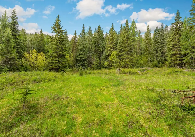 Photo 3 of Land for sale at 1520 Bierney Crk Rd, Lakeside, MT 59922 | MLS# 30050404 | Listing updated on 2026-08-04