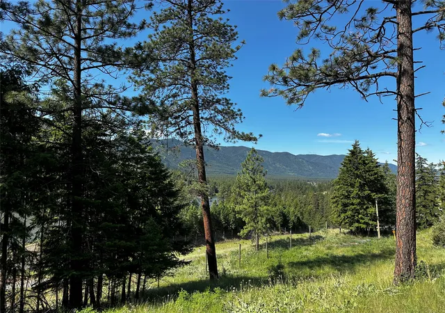 Homes for sale in Thompson Falls, MT | 12 Trap Club Ln, Thompson Falls, MT 59873 | MLS# 30050837