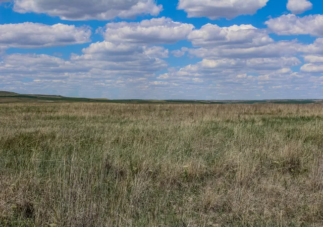 Photo 3 of Land for sale at Tract 24 Old Ulm Cascade Rd, Cascade, MT 59421 | MLS# 30049498 | Listing updated on 2026-06-21