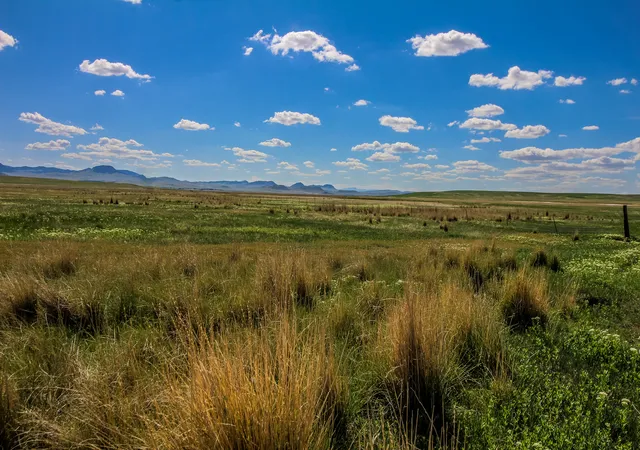 2nd image of Tract 25 Old Ulm Cascade Rd, Cascade, MT 59421 | MLS# 30049486