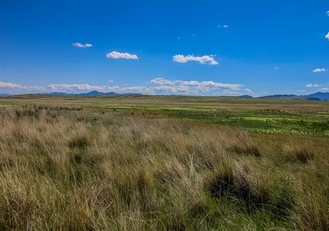 5th image of Tract 25 Old Ulm Cascade Rd, Cascade, MT 59421 | MLS# 30049486