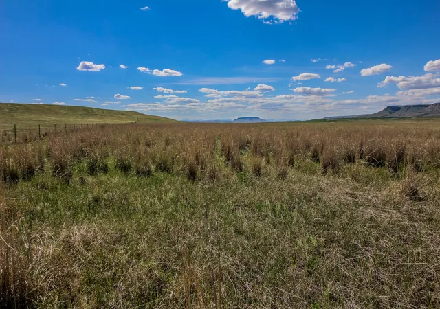 1st image of Tract 29 Old Ulm Cascade Rd, Cascade, MT 59421 | MLS# 30049483