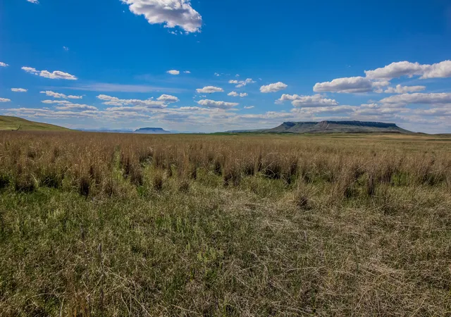 2nd image of Tract 29 Old Ulm Cascade Rd, Cascade, MT 59421 | MLS# 30049483