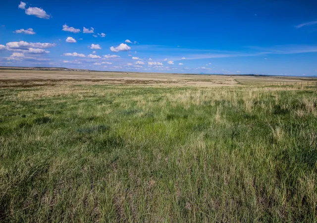 Photo 3 of Land for sale at Tract 29 Old Ulm Cascade Rd, Cascade, MT 59421 | MLS# 30049483 | Listing updated on 2026-06-21