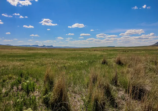 Photo 3 of Land for sale at Tract 30 Old Ulm Cascade Rd, Cascade, MT 59421 | MLS# 30049482 | Listing updated on 2026-06-21