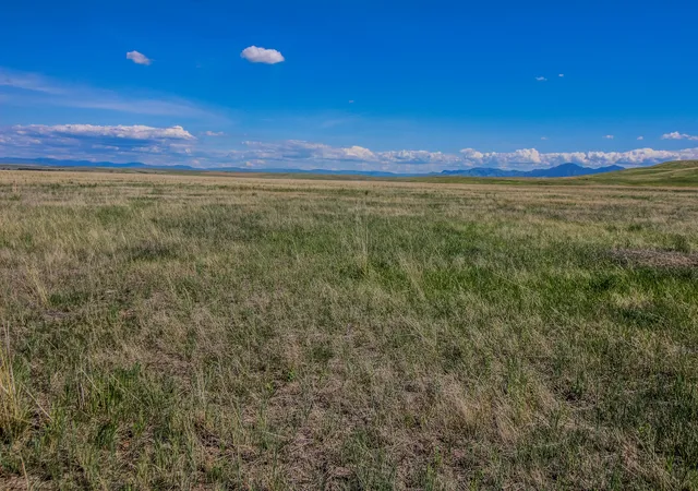 2nd image of Tract 31 Old Ulm Cascade Rd, Cascade, MT 59421 | MLS# 30049481