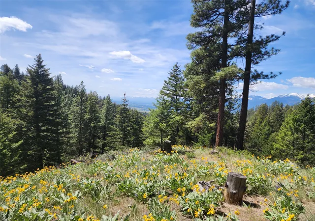 2nd image of 19063 Copper Ridge Trl, Florence, MT 59833 | MLS# 30050979