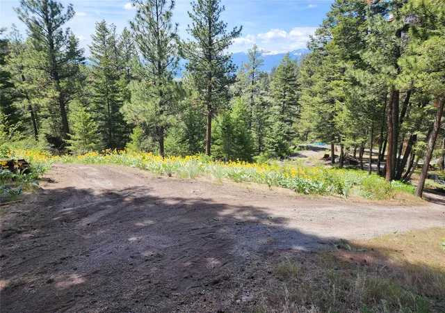 4th image of 19063 Copper Ridge Trl, Florence, MT 59833 | MLS# 30050979