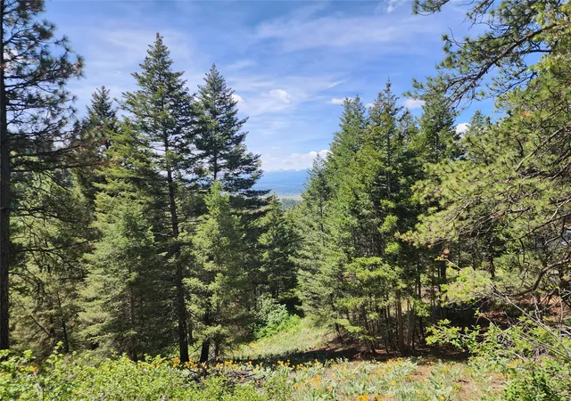 5th image of 19063 Copper Ridge Trl, Florence, MT 59833 | MLS# 30050979