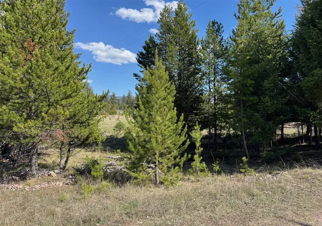 2nd image of Nhn Pine Dr, Seeley Lake, MT 59868 | MLS# 30047731