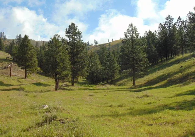 Photo 1 of Land for sale at 27235 Lazy Springs Rd, Clinton, MT 59825 | MLS# 30051222 | Listing updated on 2026-07-31