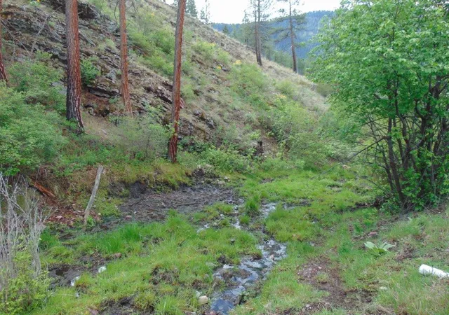 Photo 2 of Land for sale at 27235 Lazy Springs Rd, Clinton, MT 59825 | MLS# 30051222 | Listing updated on 2026-07-31