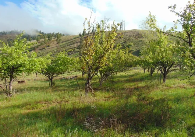 Photo 3 of Land for sale at 27235 Lazy Springs Rd, Clinton, MT 59825 | MLS# 30051222 | Listing updated on 2026-07-31